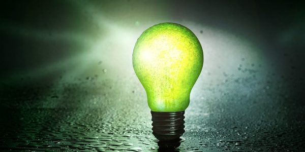 SEP, uprawnienia SEP